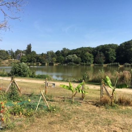 Maison Face A L'Etang Précy エクステリア 写真