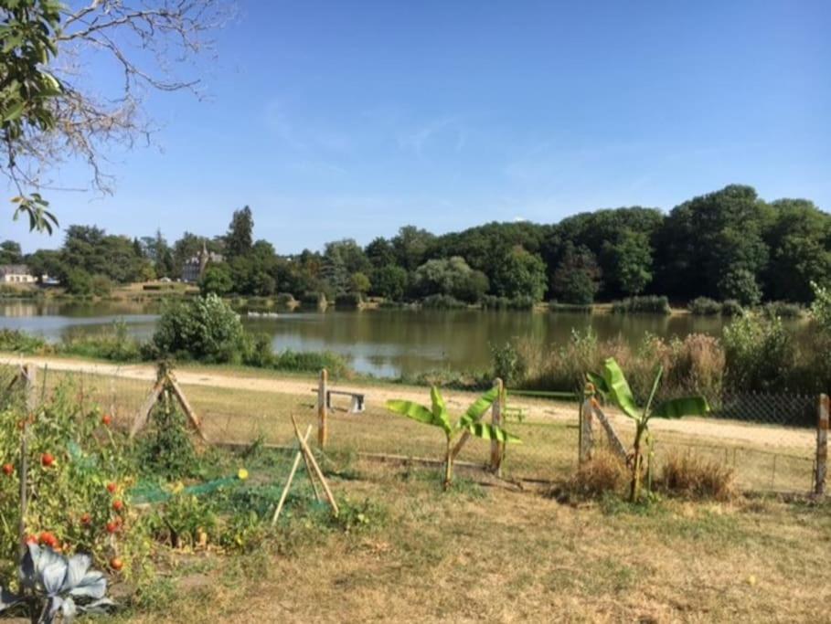 Maison Face A L'Etang Précy エクステリア 写真